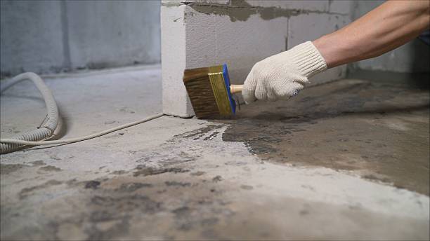 SJ Waterproofing Pros Sump Pump Installation coverage map for Willis, MI and surrounding area